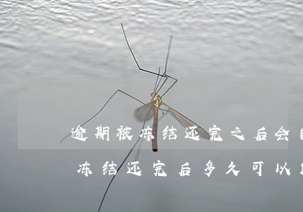 逾期被冻结还完之后会自动销卡吗-逾期被冻结还完后多久可以解银行卡
