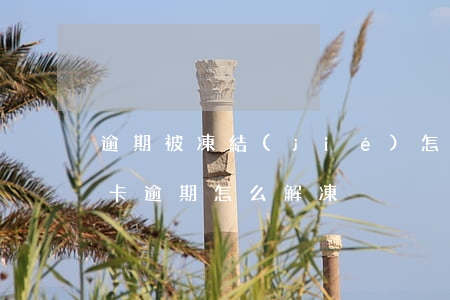 逾期被凍結(jié)怎么解凍信用卡(銀行卡逾期怎么解凍)