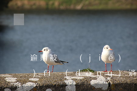 逾期被凍結(jié)還完之后會(huì)自動(dòng)消卡嗎-逾期被凍結(jié)還完之后會(huì)自動(dòng)消卡嗎怎么辦