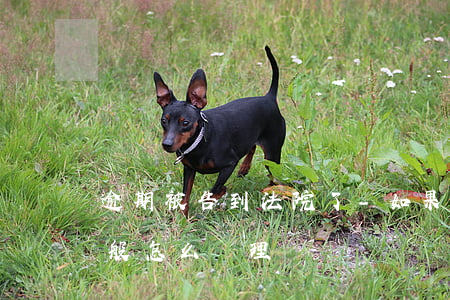 逾期被告到法院了-如果逾期被起訴法院一般怎么處理
