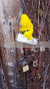 逾期被執(zhí)行人什么意思(逾期成被執(zhí)行人,這12個代價你真的能承受嗎?)