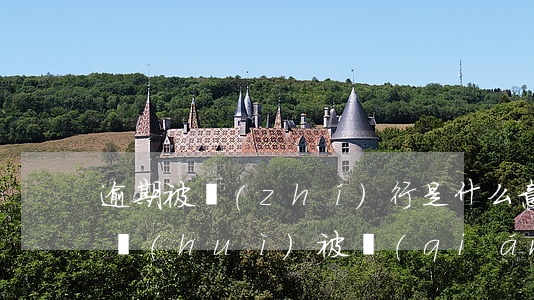 逾期被執(zhí)行是什么意思(逾期多久會(huì)被強(qiáng)制執(zhí)行)