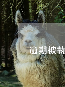 逾期被執(zhí)行需要找律師嗎