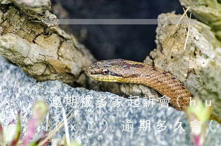 逾期被多家起訴會(huì)怎么樣-連續(xù)逾期多久會(huì)被起訴