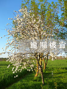 逾期被宜信普惠起訴(宜信普惠起訴案例)