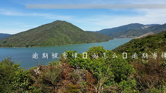 逾期被寄律師函怎么辦(逾期寄律師函怎么辦呢)