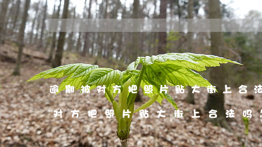 逾期被对方把照片贴大街上合法吗-逾期被对方把照片贴大街上合法吗怎么办