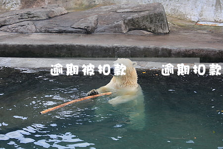 逾期被扣款標準(逾期扣款是怎么回事)