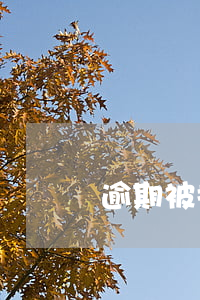逾期被拖車怎么還款