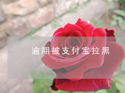 逾期被支付宝拉黑