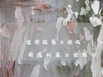 逾期被暴力催收網(wǎng)友怎么說(逾期遇到暴力催收,不協(xié)調(diào)還款怎么辦)