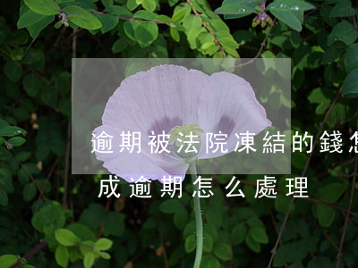 逾期被法院凍結的錢怎么辦(因為法院凍結造成逾期怎么處理)