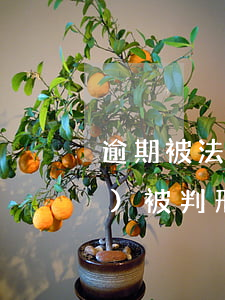 逾期被法院判決有什么后果(逾期會(huì)被判刑嗎)