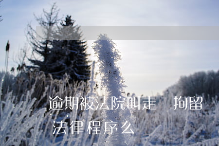 逾期被法院叫走會拘留嗎(逾期十多天會被走法律程序么)