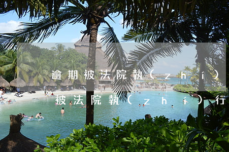逾期被法院執(zhí)行有什么后果(逾期被法院執(zhí)行有什么后果嗎)