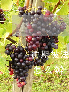逾期被法院立案了怎么辦 逾期被法院立案了怎么辦