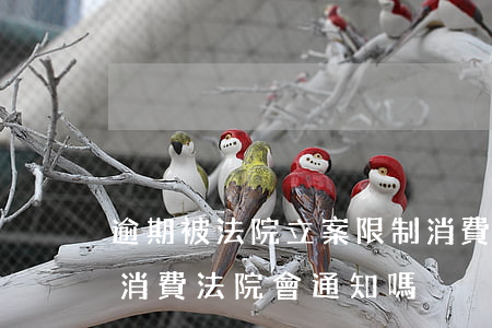 逾期被法院立案限制消費怎么回事(被限制高消費法院會通知嗎)