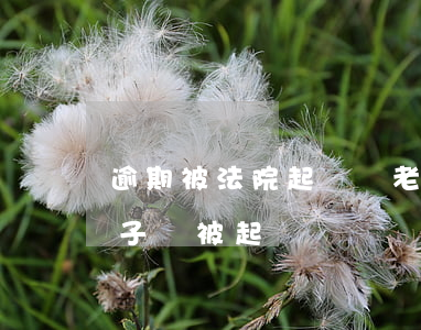 逾期被法院起訴對老公影響(丈夫貸款逾期妻子會被起訴嗎)