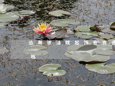 逾期被法院起訴會有通知嗎(逾期了會被起訴嗎)
