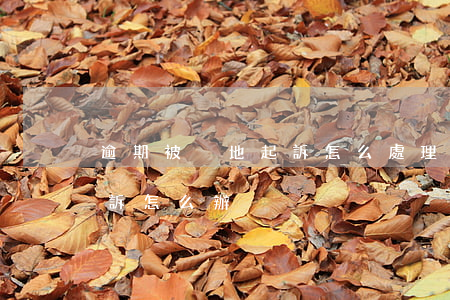 逾期被異地起訴怎么處理(貸款逾期被異地起訴怎么辦)