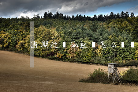 逾期被異地起訴怎么辦(異地被起訴了怎么辦)