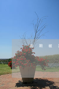 逾期被異地起訴(逾期被異地起訴了怎么辦)