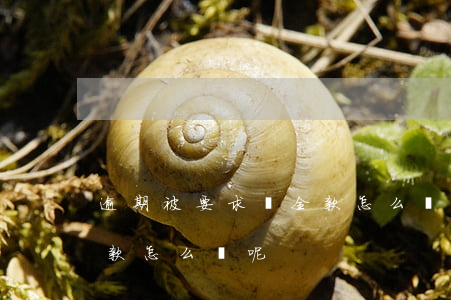 逾期被要求還全款怎么辦-逾期被要求還全款怎么辦呢
