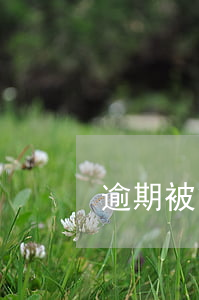 逾期被貸后(逾期被貸后售后客服)