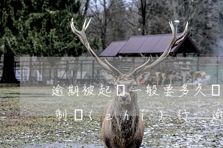 逾期被起訴一般要多久會強(qiáng)制執(zhí)行-逾期被起訴一般要多久會強(qiáng)制執(zhí)行呢