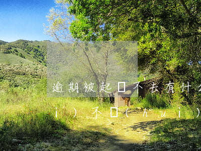 逾期被起訴不去有什么后果(逾期了會(huì)不會(huì)被起訴)