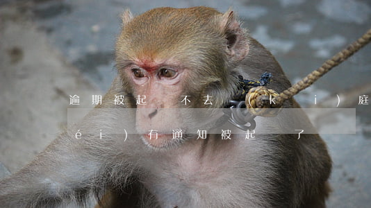 逾期被起訴不去開(kāi)庭（逾期沒(méi)有通知被起訴了）