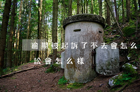 逾期被起訴了不去會怎么判決(逾期不還被訴訟會怎么樣)