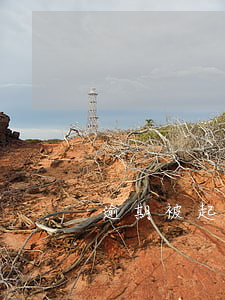 逾期被起訴了怎么辦（工程逾期被起訴怎么辦）