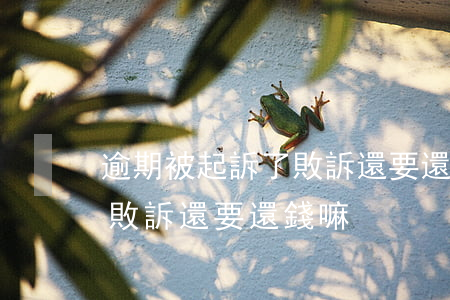 逾期被起訴了敗訴還要還錢嘛(逾期被起訴了敗訴還要還錢嘛)