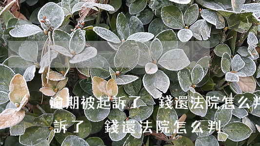 逾期被起訴了沒錢還法院怎么判-逾期被起訴了沒錢還法院怎么判決