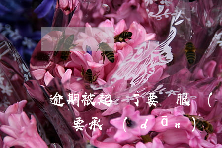 逾期被起訴了要還服務(wù)費(逾期被起訴要承擔(dān)訴訟費嗎)