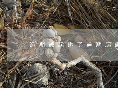 逾期被起訴了（逾期起訴查封）