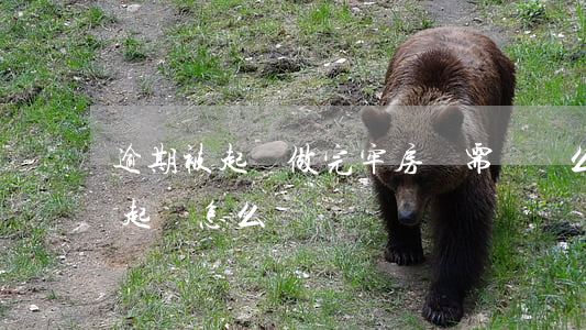 逾期被起訴做完牢房還需還賬么 逾期還款被起訴怎么辦