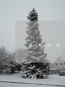逾期被起訴凍結(jié)了卡怎么辦