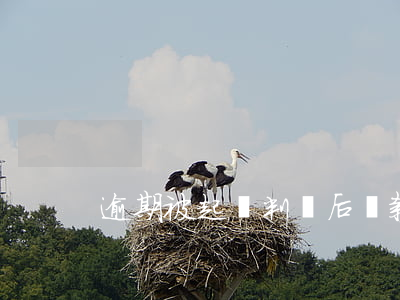 逾期被起訴判決后還款了
