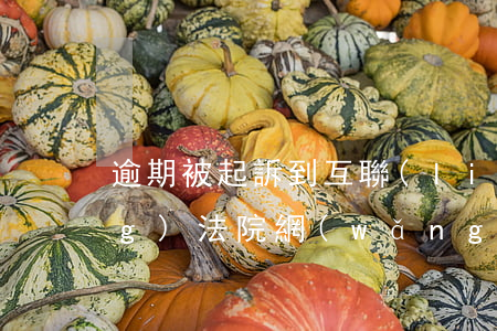 逾期被起訴到互聯(lián)網(wǎng)法院(網(wǎng)貸逾期互聯(lián)網(wǎng)法院起訴有用嗎)