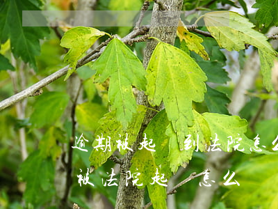 逾期被起訴到法院怎么說(shuō)(逾期被法院起訴怎么辦)