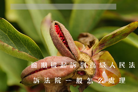 逾期被起訴到高級人民法院-如果逾期被起訴法院一般怎么處理
