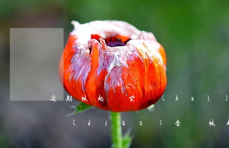 逾期被起訴前會(huì)上門(mén)調(diào)查嗎(被起訴了會(huì)上門(mén)嗎)