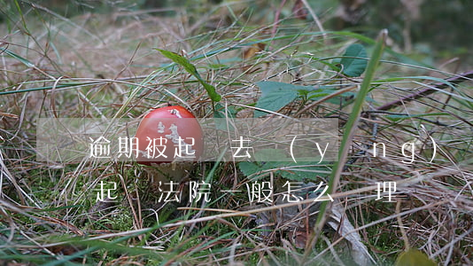 逾期被起訴去應(yīng)訴(如果逾期被起訴法院一般怎么處理)