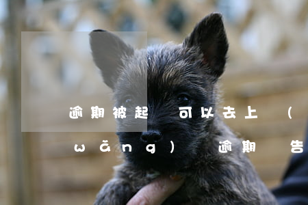 逾期被起訴可以去上網(wǎng)嗎(網(wǎng)貸逾期會告上法庭嗎)