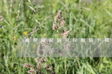 逾期被起訴可以撤訴不 被起訴能撤訴嗎