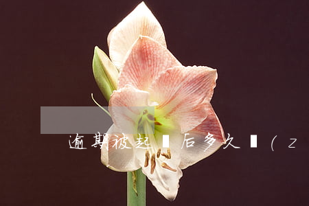 逾期被起訴后多久執(zhí)行限制坐車