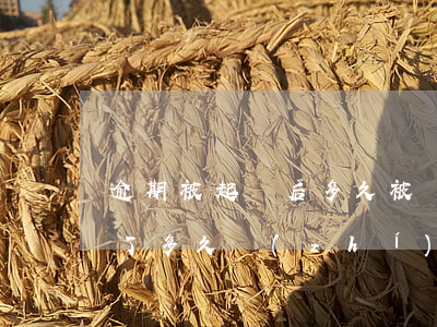 逾期被起訴后多久被執(zhí)行(被起訴了多久執(zhí)行)