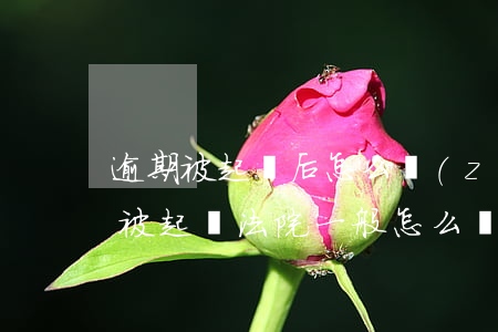 逾期被起訴后怎么執(zhí)行 如果逾期被起訴法院一般怎么處理